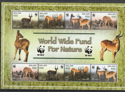 Fauna ,WWF ,cervide ,Malawi. foto