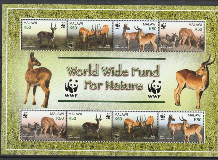 Fauna ,WWF ,cervide ,Malawi.