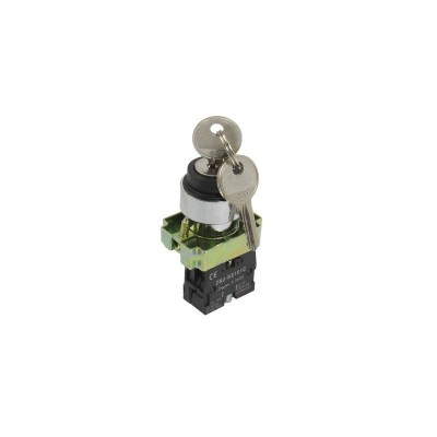 Buton motor cu cheie ON/OFF/ON elSales, ELS-ZB2-BG25C foto