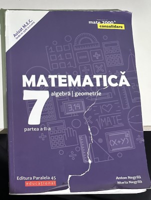 Matematica. Algebra, geometrie. Clasa a VII-a. Consolidare. Partea II foto