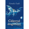 Calaretul dragonilor, Cornelia Funke, Rao