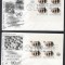 UN New York 1965 World population conference Mi.161-162 x 4 FDC UN.132