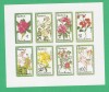 Eq. Guinea 1979 Flowers - unused imperforated block F.006, Nestampilat