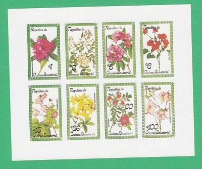 Eq. Guinea 1979 Flowers - unused imperforated block F.006 foto