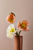 Tablou Canvas floral cu tema răsărit delicat, 26 x 39 cm, CMCLASS