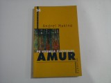 PE VREMEA FLUVIULUI AMUR (roman) - Andrei Makine - Bucuresti Humanitas, 2001