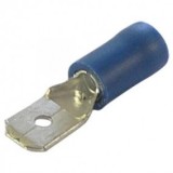 Papuc 6.3mm tata albastru izolat