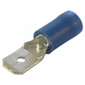 Papuc 6.3mm tata albastru izolat foto