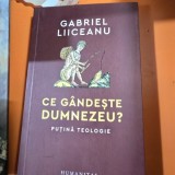 Ce gandeste Dumnezeu? - Gabriel Liiceanu