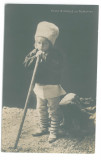 2399 - Prince NICOLAE, Regale, Romania - old postcard, real PHOTO - unused, Necirculata, Fotografie