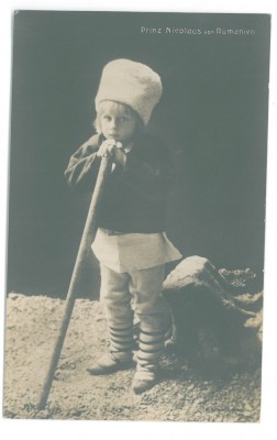2399 - Prince NICOLAE, Regale, Romania - old postcard, real PHOTO - unused foto