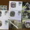 Rep. Centrafricana - maimute - cimpanzeu - serie 4 timbre MNH, 4 FDC, 4 maxime