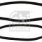 FEBI BILSTEIN 40859 Set curea transmisie cu caneluri