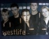 Westlife - Poster [A3]