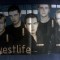 Westlife - Poster [A3]