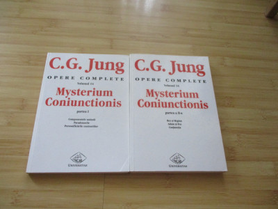 C. G. JUNG--OPERE COMPLETE - VOL. 14 ( P. 1 + 2 ) foto