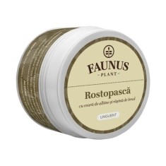 CREMA-BALSAM ROSTOPASCA 50ML foto
