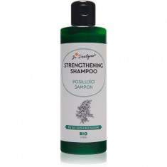 Dr. Feelgood BIO Strengthening sampon fortifiant pentru păr 200 ml