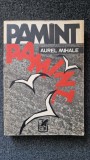PAMANT - AUREL MIHALE