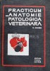 Practicum Anatomie Patologica Veterinara - V. Ciurea, 1969, Agro-Silvica, 330 pagini, Coperta Cartonata, Stare Buna