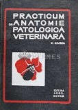 Practicum de anatomie patologica veterinara - 1969 - V. Ciurea (C147)