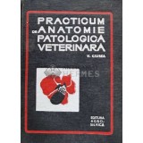 Practicum de anatomie patologica veterinara - 1969 - V. Ciurea (C147)
