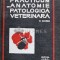 Practicum de anatomie patologica veterinara - 1969 - V. Ciurea (C147)