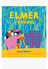 Elmer si prietenii. Carte de colorat aniversara - Pandora M