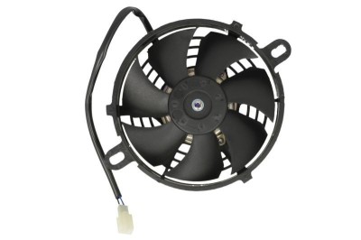 Radiator racire Atv Bashan foto