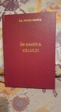&Icirc;n umbra celulei de Dr. Petru Groza