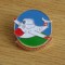 QW9 N 63 - insigna - militar - aviatie - Germania Segelfluggruppe lagern schanis