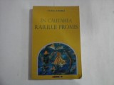 IN CAUTAREA RAIULUI PROMIS - VASILE ANDRU
