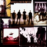 Hootie The Blowfish Cracked Rear View (cd)