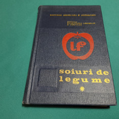 SOIURI DE LEGUME / D. ANDRONICESCU/ 1970