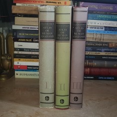 R.D. SINELNIKOV - ATLAS OF HUMAN ANATOMY / ATLAS DE ANATOMIE UMANA ( LIMBA ENGLEZA ) * 3 VOL. , 1988-1990