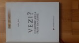 Adina Nanu - VEZI ? Comunicarea prin imagine ( 2011 )