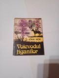 VOIEVODUL TIGANILOR * TRANDAFIRUL GALBEN ~ JOKAI MOR