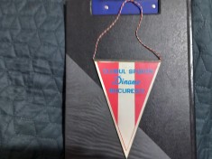 Fanion Dinamo foto