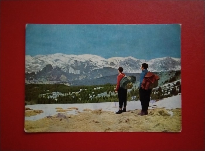 CARTE POSTALA - PE MUNTII BUCEGI