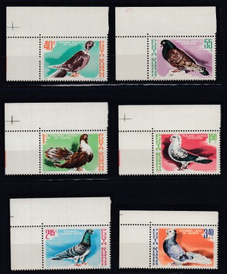 ROMANIA 1980 LP 1028 COLUMBOFILIE SERIE MNH foto