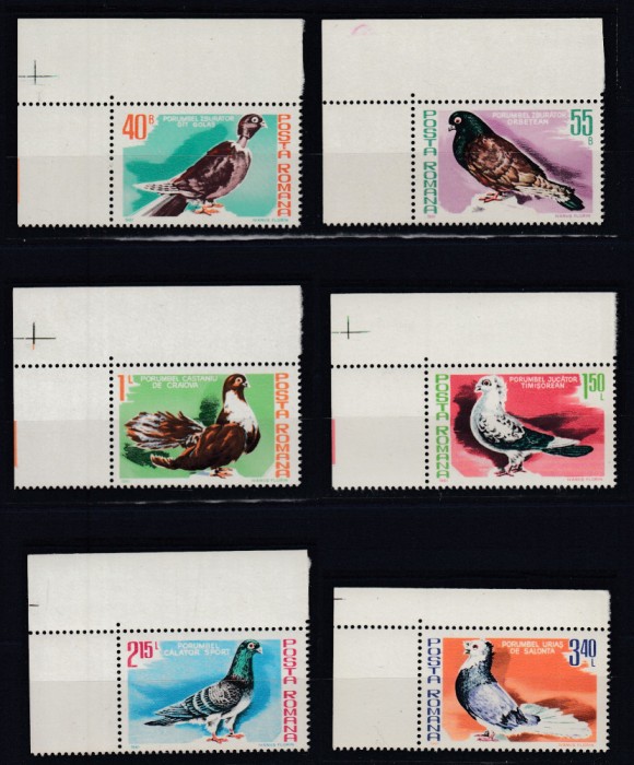ROMANIA 1980 LP 1028 COLUMBOFILIE SERIE MNH