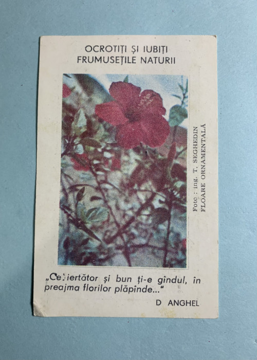 Calendar 1982 ocrotiți natura
