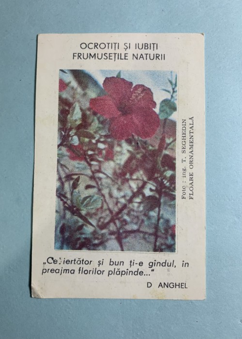 Calendar 1982 ocrotiți natura