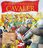 Andrea Hopkins - O zi din viata unui cavaler