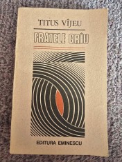 TITUS VIJEU (VAJEU) - FRATELE GRAU (1990), 192 pagini, stare buna