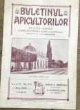 X.1 [Ilustrație Gara Herculane] Buletinul Apicultorilor - Mai-Iunie 1926