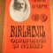 myh 48s - R Boteanu - Birladul odinioara si astazi - Oameni si fapte - Birlad