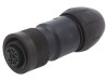 Conector Circular BINDER RD24 Mama 7 Pini IP67 Placare Argintata Montare pe Cablu Tensiune 0.25kV