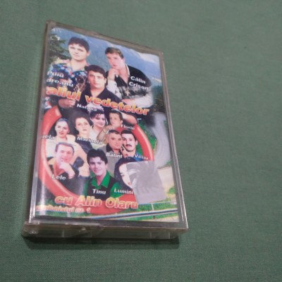 CASETA AUDIO PETRECERE RALIUL VEDETELOR VOL 1` RARA!! ORIGINALA foto