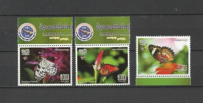 CAMBODGIA 2023 FAUNA INSECTE FLUTURI foto